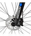 E-Bike "Advance X1", 29 Zoll