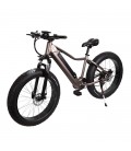 E-Fatbike “Fat Tire Subcross“, 40 km/h, 500 Watt