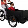 E-Lastenrad f&uuml;r Familien: Mit dem E-Donkey entspannt einkaufen, Kinder transportieren und Auto ersetzen